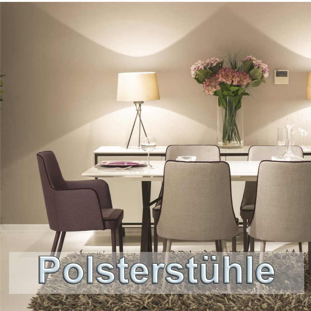 Polsterstühle für das Esszimmer